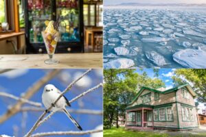 202512_ ことりっぷweb